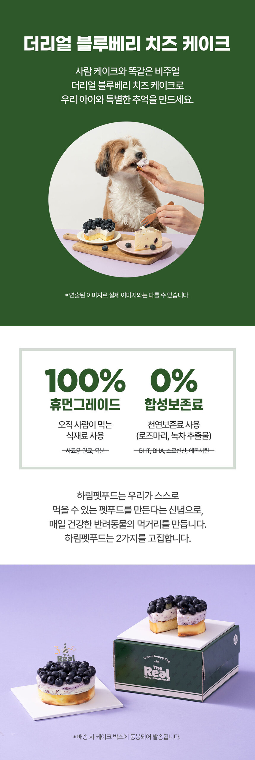 [무료배송] 더리얼 블루베리 치즈 케이크 330g+파티 3종 세트 3번째