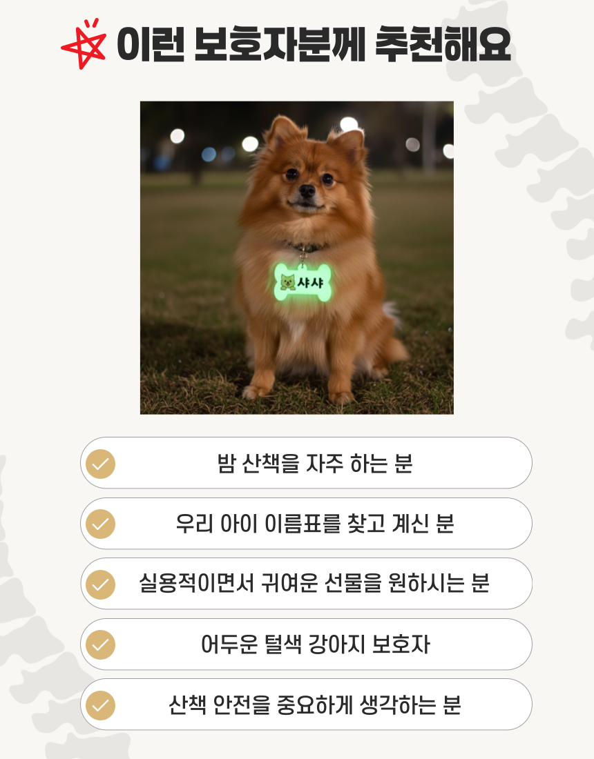 [무료배송] 아름블링 독 커스텀 야광 이름표 9번째