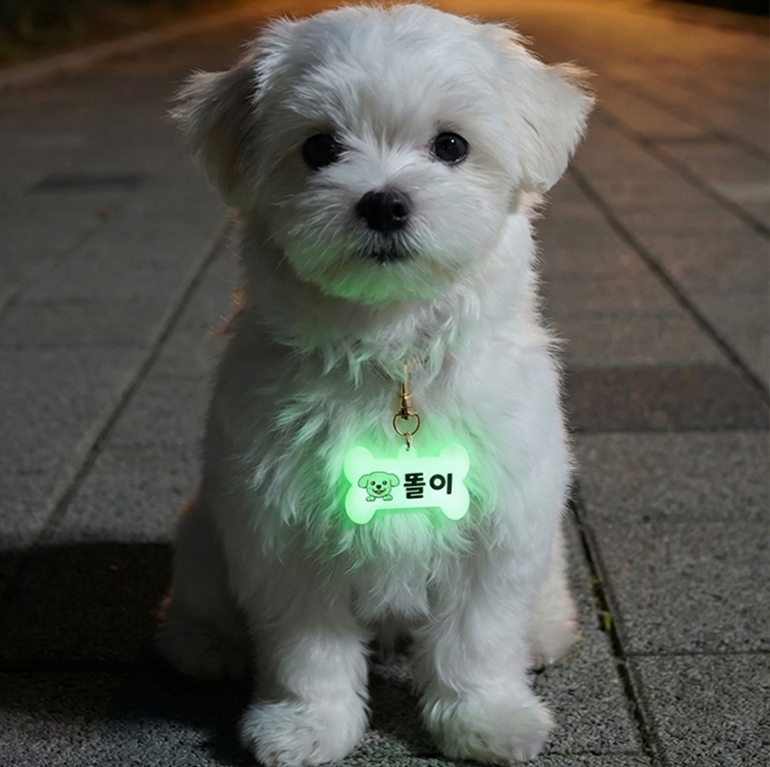 [무료배송] 아름블링 독 커스텀 야광 이름표 4번째