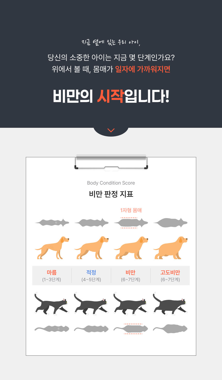 [브랜드전]웰찹 슬림펫 제로 체지방 케어 다이어트 보조제 12g*30p 12번째