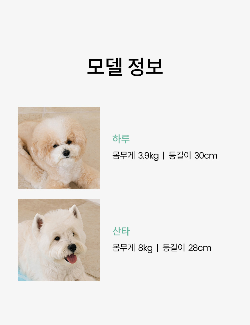 [NEW신상][무료배송] 리카리카 스누즈 쿨 매트 S/L 11번째