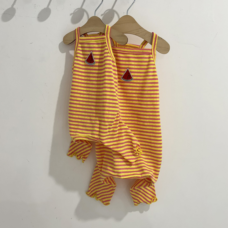 [무료배송] 해피댕댕 후르츠올인원 S - XL 11번째