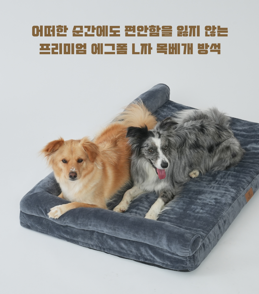 [NEW신상][무료배송] 펫앤마마 대형견 에그폼 L자형 목베개 사각방석 2종 (그레이/진그레이) L~2XL 8번째
