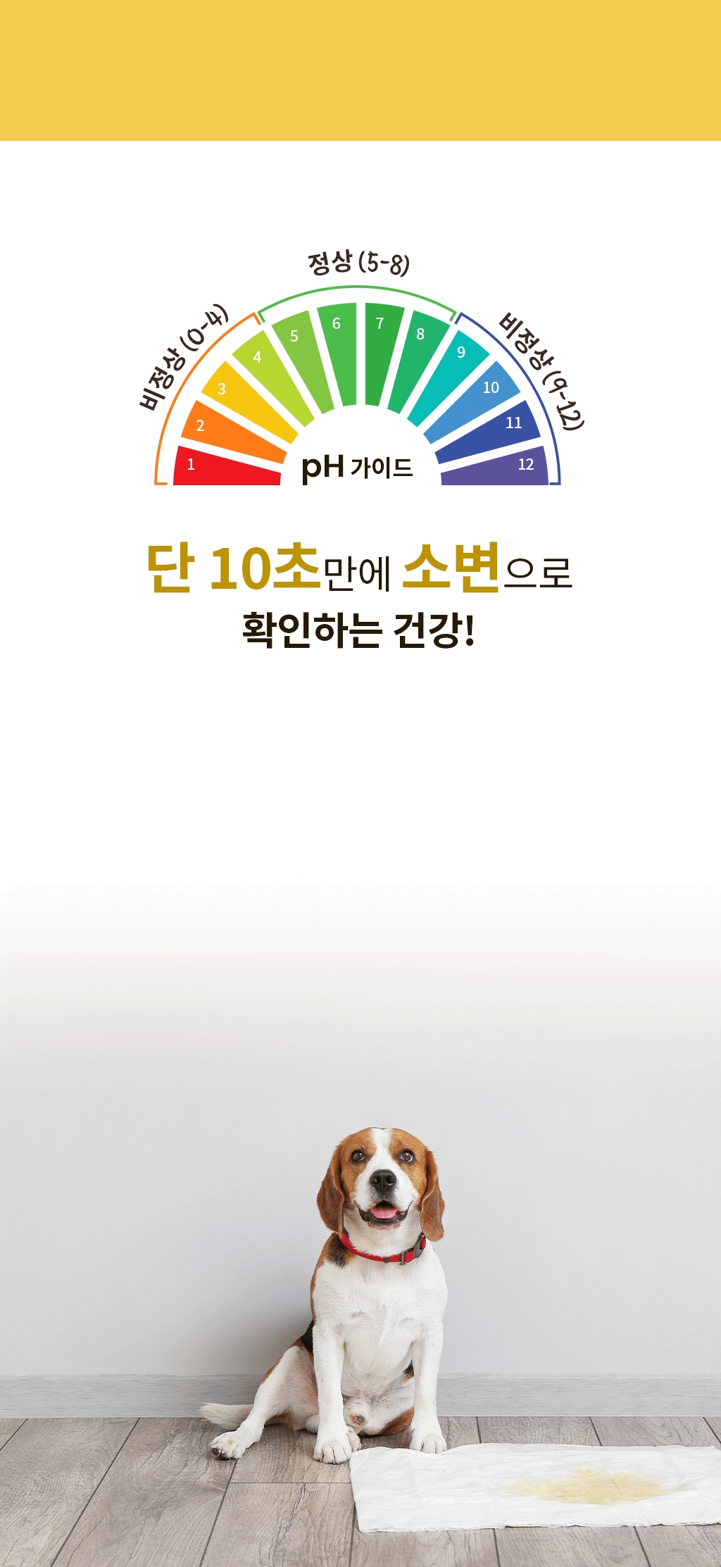 [체험단][무료배송] 바우라움 10초 소변검사 PH패드 50매 M 4번째