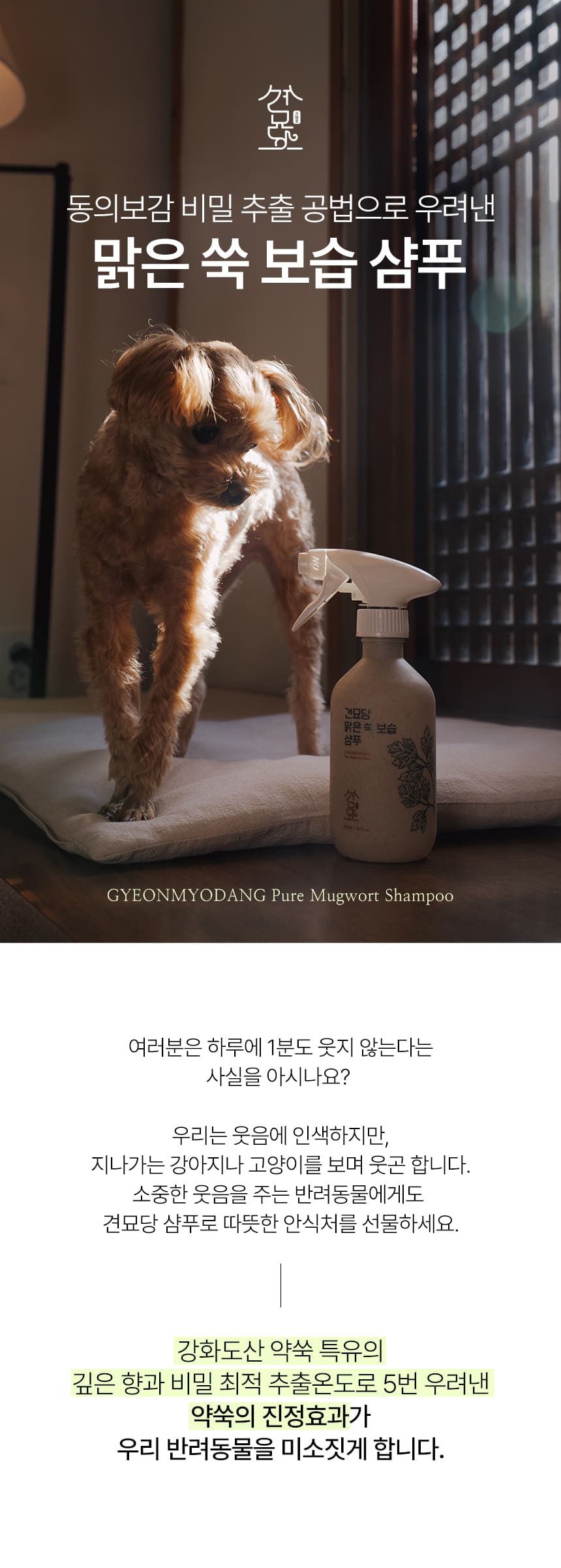 [NEW신상]견묘당 맑은 쑥 보습 샴푸 300ml 14번째