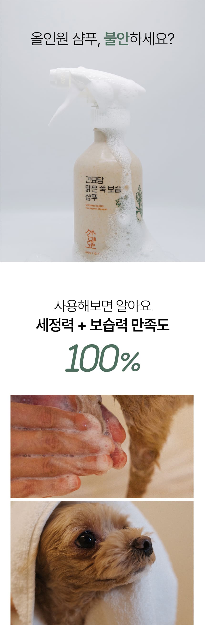 [NEW신상]견묘당 맑은 쑥 보습 샴푸 300ml 11번째