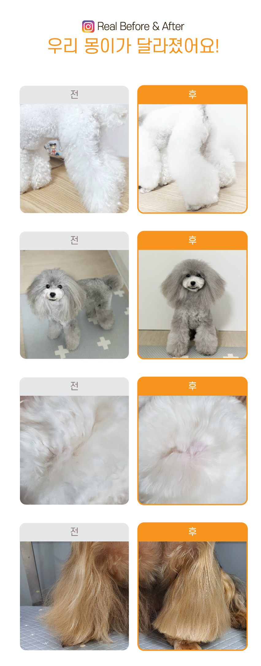 [무료배송] 바스몽 탄산 스파 입욕제 200g + 데일리 보습 미스트 100ml SET 12번째