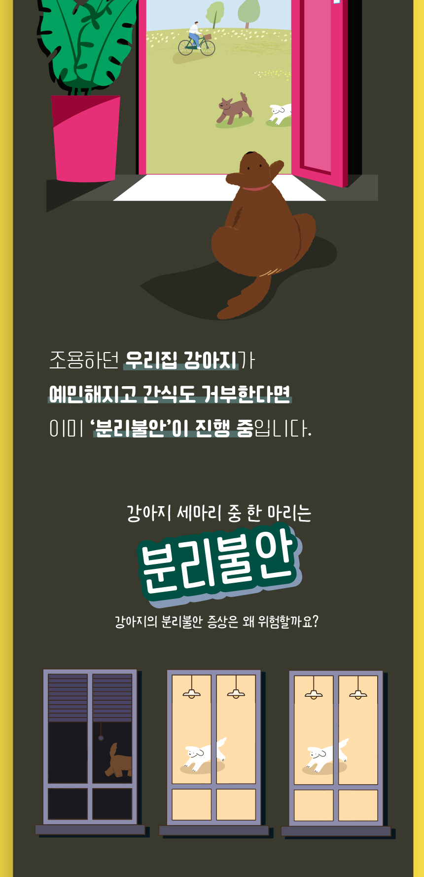 [무료배송] 애구애구 노즈워크 봉지라면 6번째