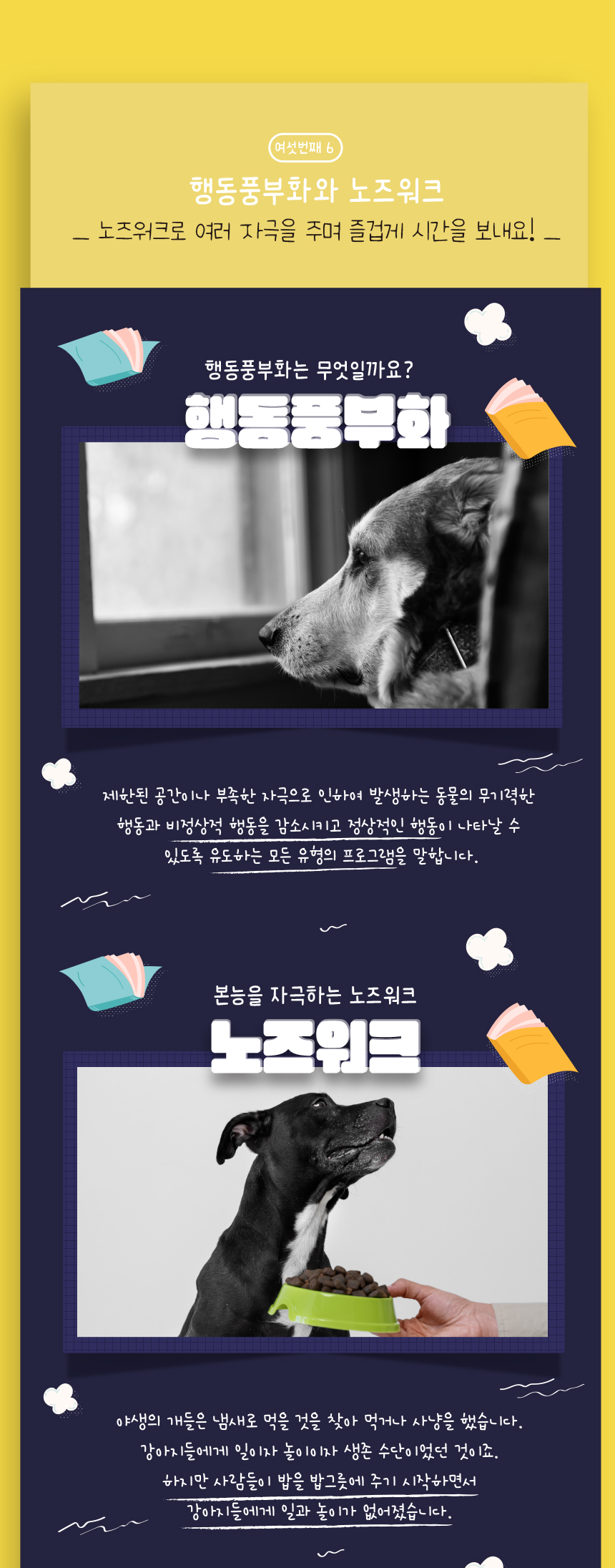[무료배송] 애구애구 노즈워크 봉지라면 14번째