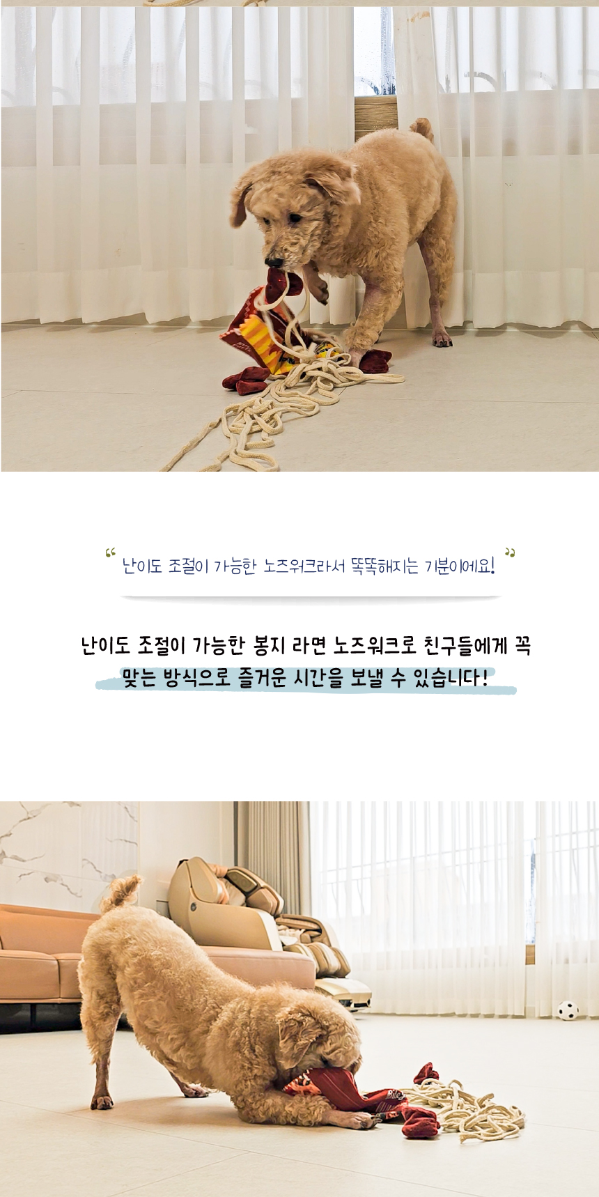 [무료배송] 애구애구 노즈워크 봉지라면 30번째