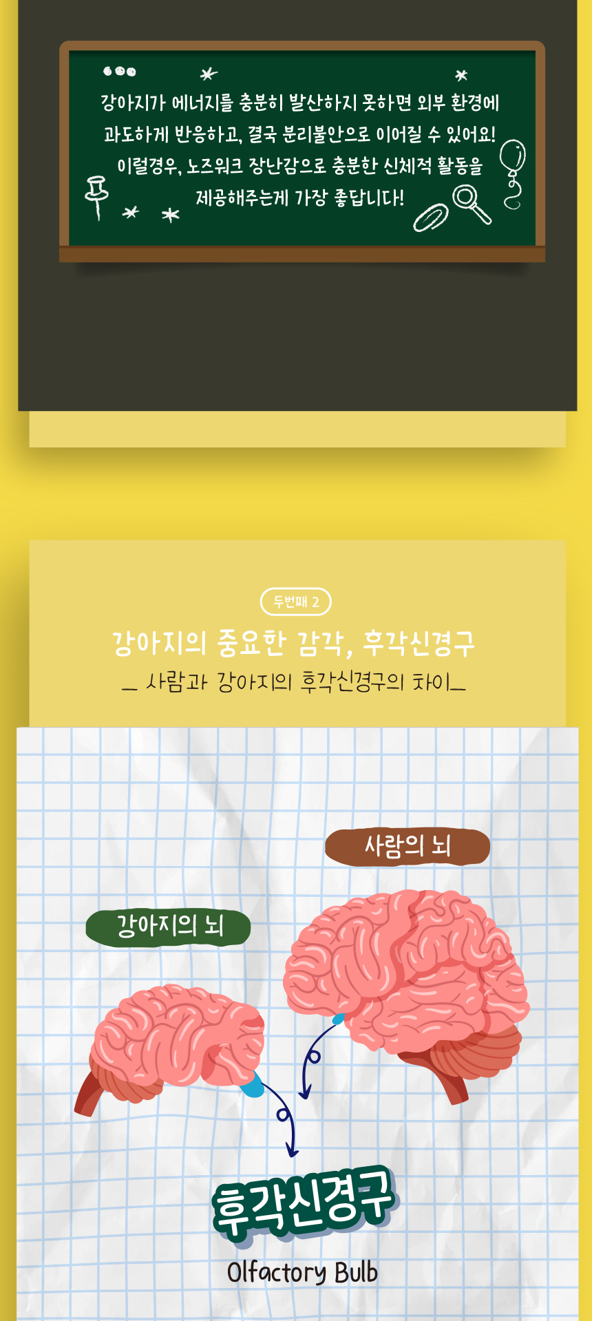 [무료배송] 애구애구 노즈워크 봉지라면 7번째