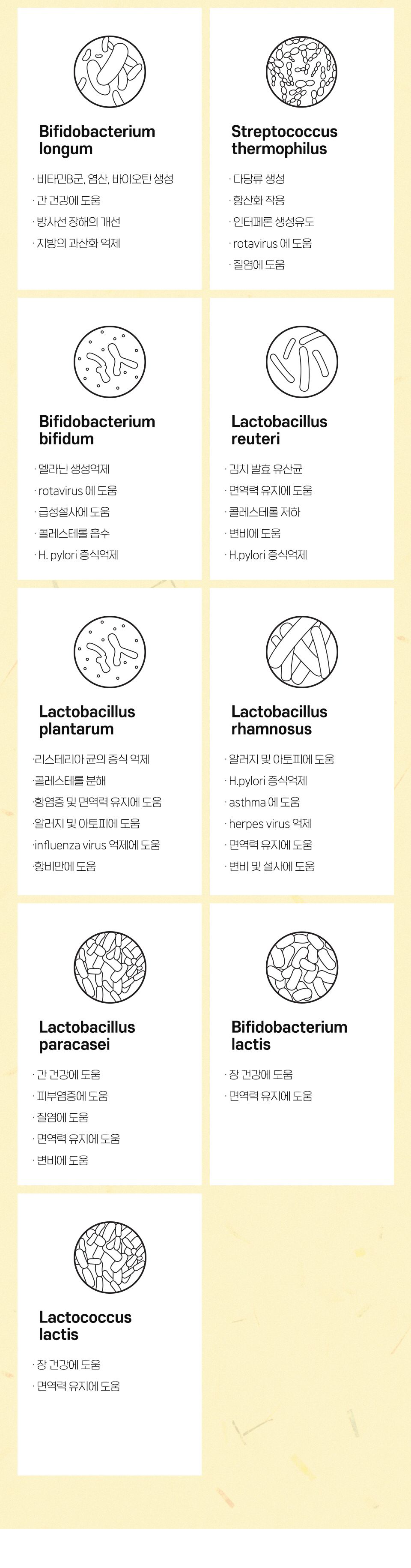 조공 프로바이오틱스 2g*30p 3번째