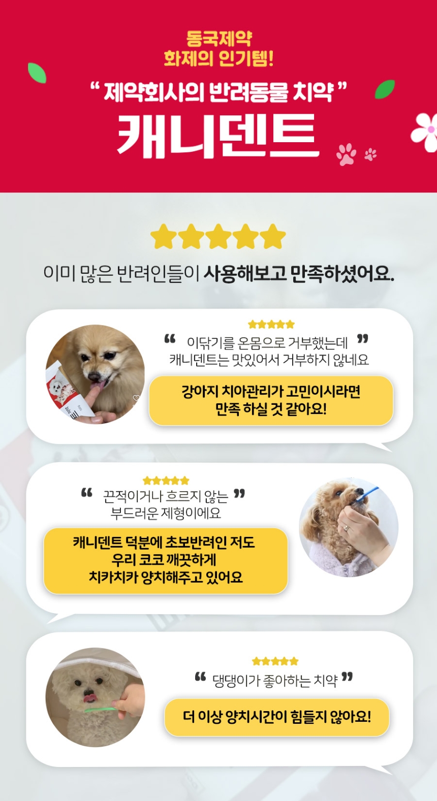 [NEW신상][무료배송] 동국제약 캐니덴트 치약 100g 2종 (닭고기향/고구마향) 1번째