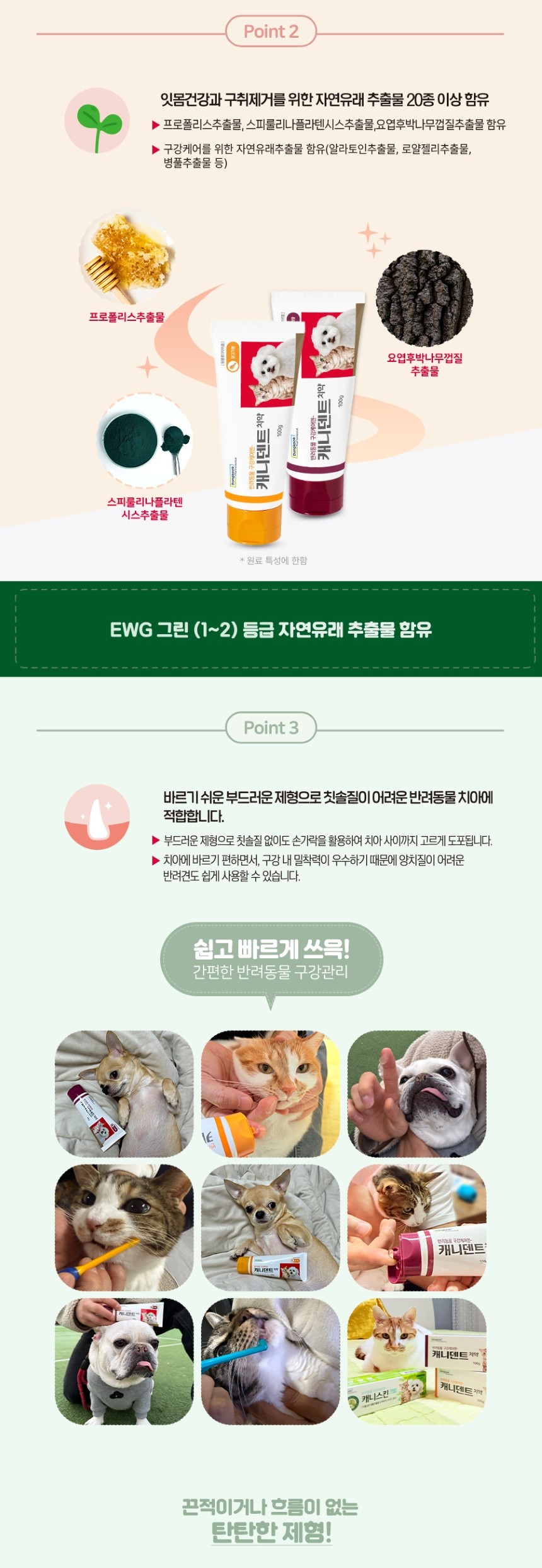 [NEW신상][무료배송] 동국제약 캐니덴트 치약 100g 2종 (닭고기향/고구마향) 3번째
