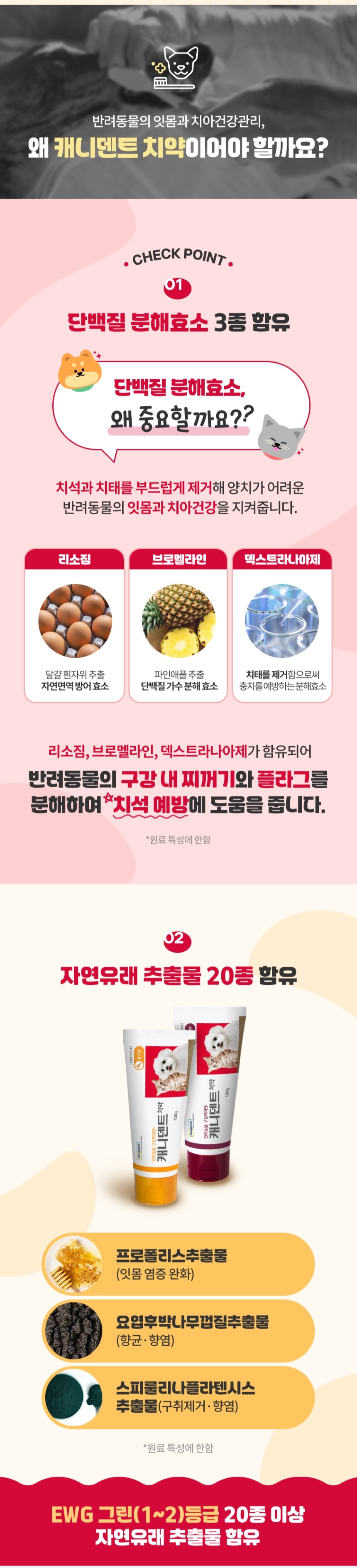 [NEW신상][무료배송] 동국제약 캐니덴트 치약 100g 2종 (닭고기향/고구마향) 2번째