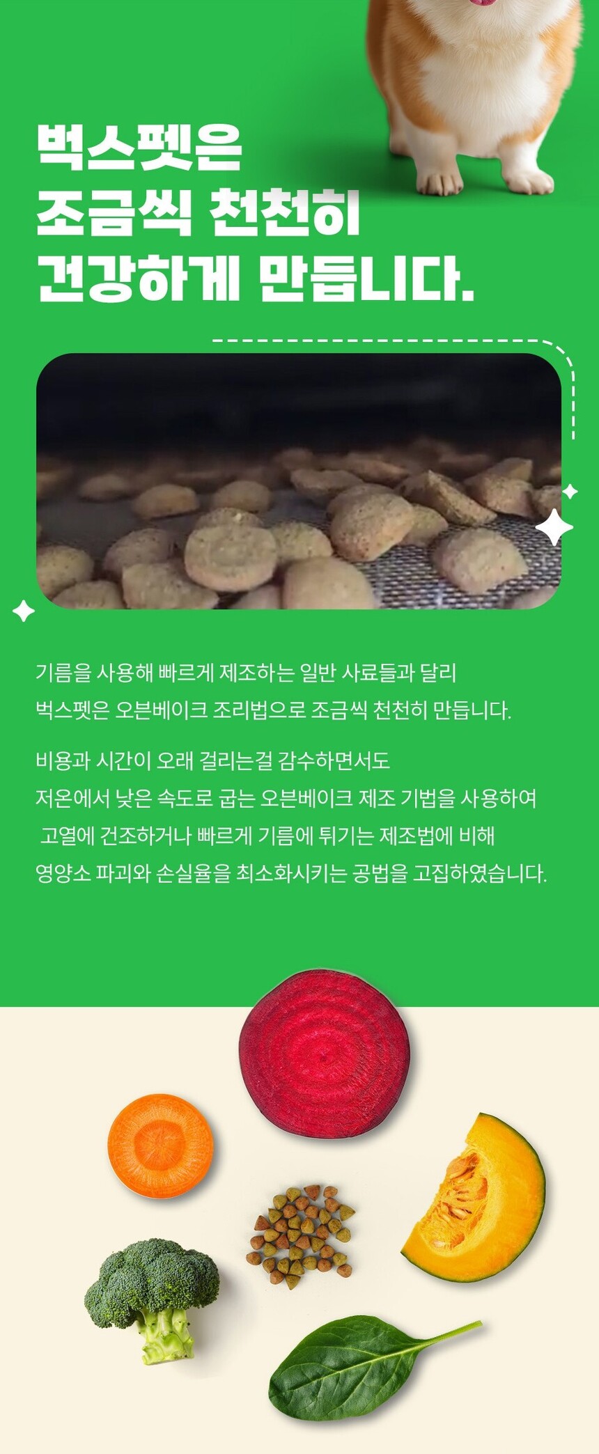 [NEW신상][무료배송] 벅스펫 벅스독 비건포뮬러 그레인프리 5kg 9번째