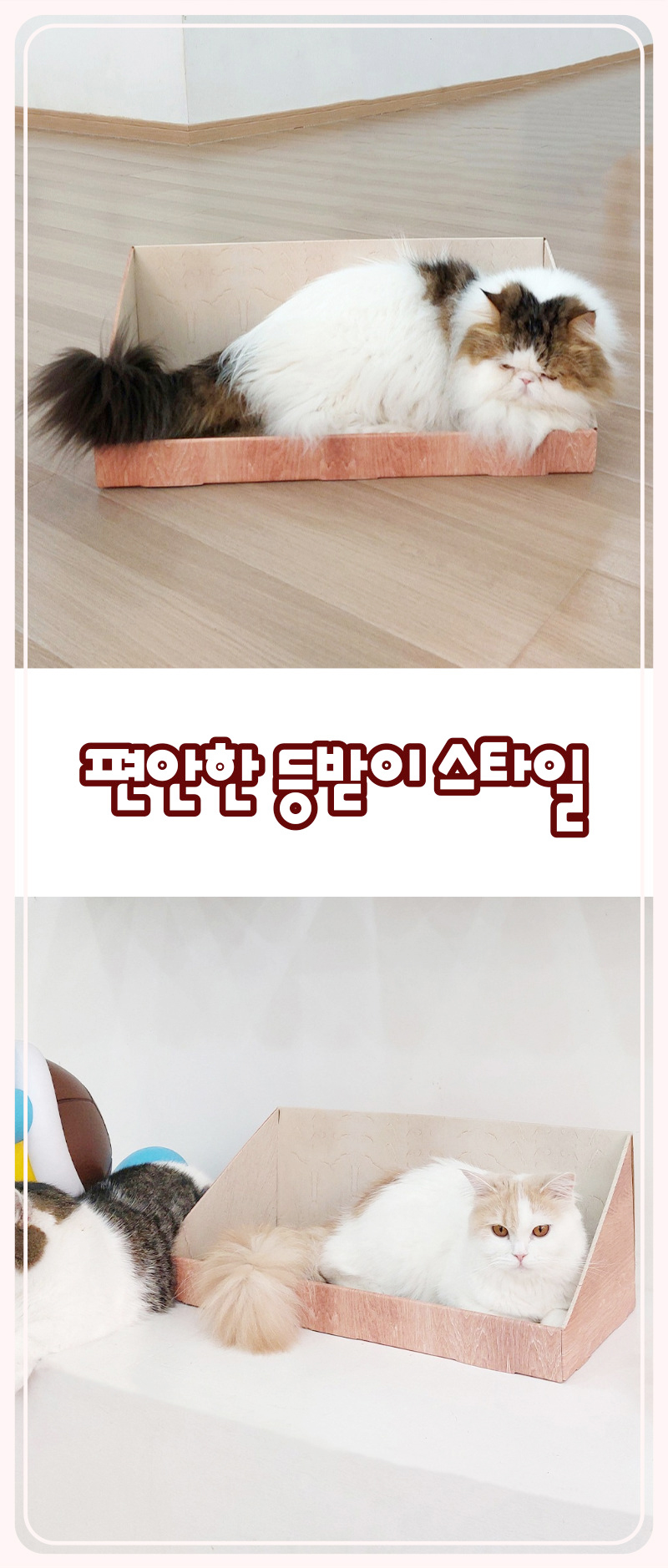 [무료배송] 가또나인 컴포트 등받이 스크래쳐 6번째