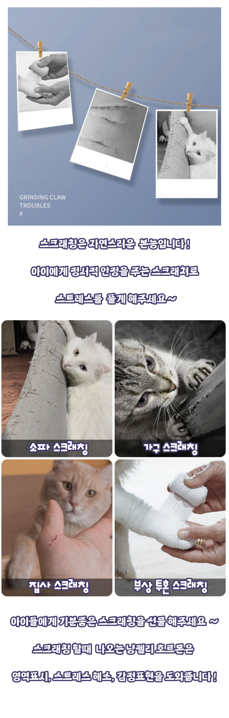 [무료배송] 가또나인 컴포트 등받이 스크래쳐 5번째