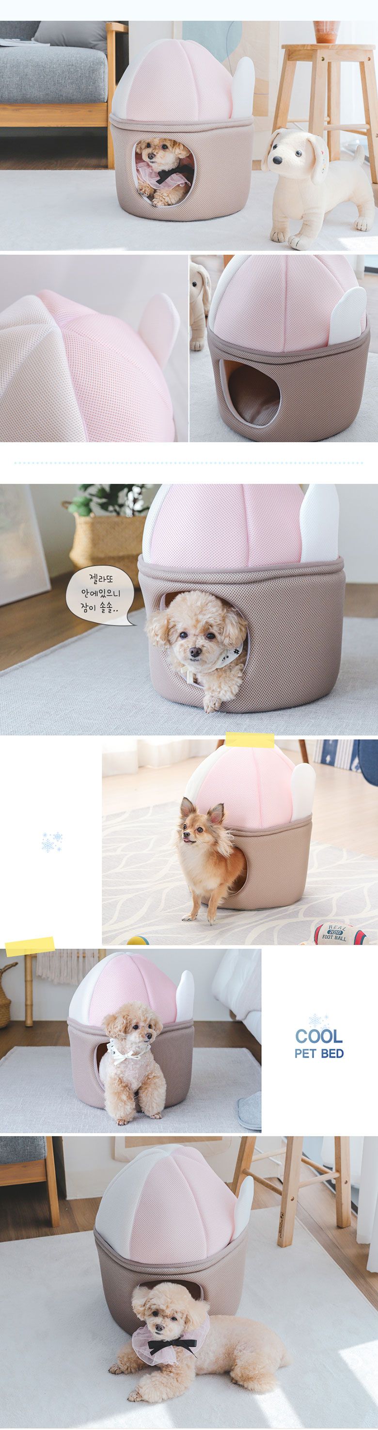 아이리스코리아 쿨베드 젤라또 3번째