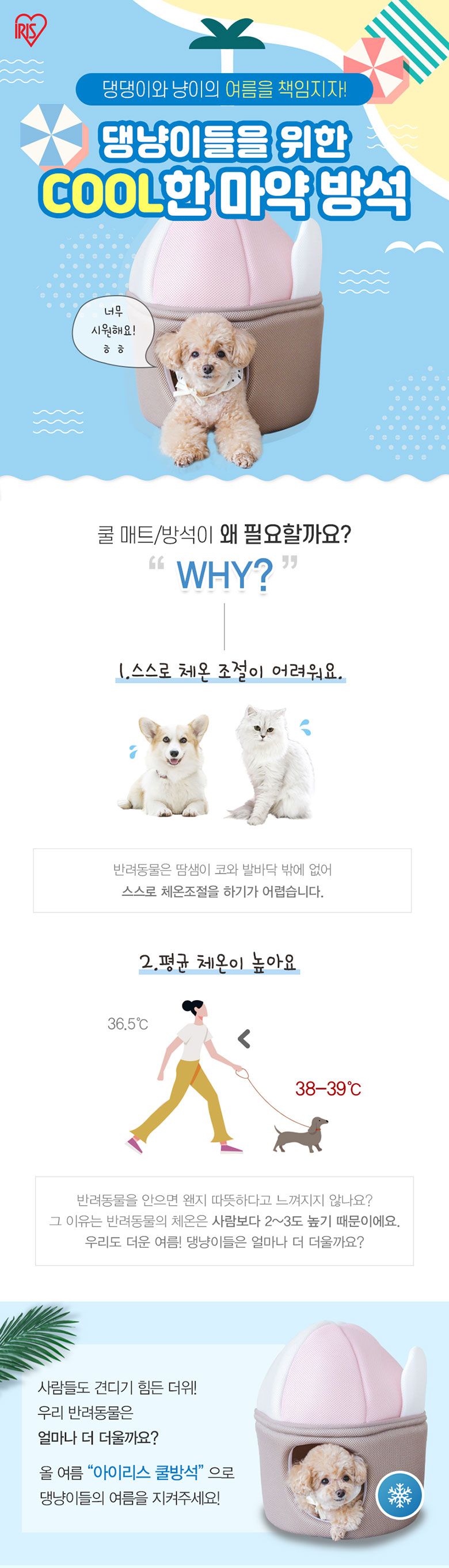 아이리스코리아 쿨베드 젤라또 1번째