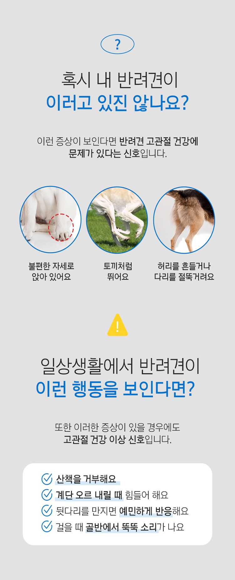 [무료배송] 꼬잇 독 고관절 브이레이 프로 케어 패키지(1구) 2번째