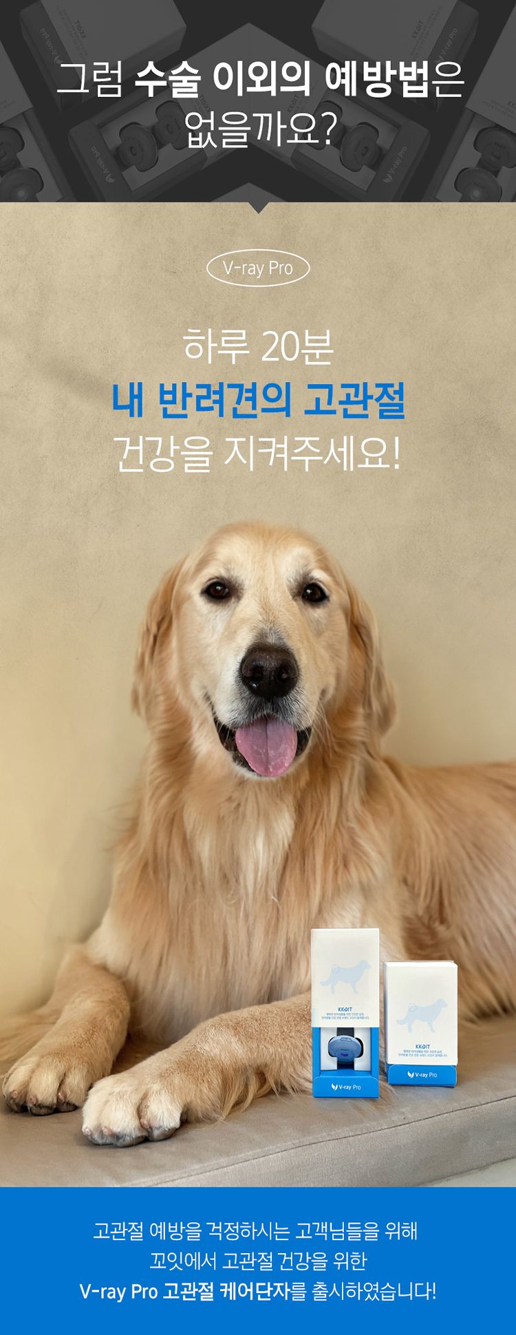 [무료배송] 꼬잇 독 고관절 브이레이 프로 케어 패키지(1구) 4번째