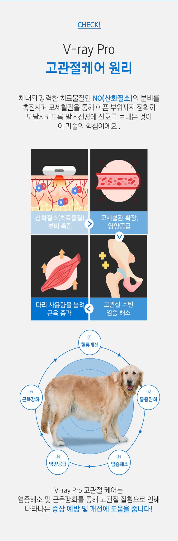 [무료배송] 꼬잇 독 고관절 브이레이 프로 케어 패키지(1구) 5번째
