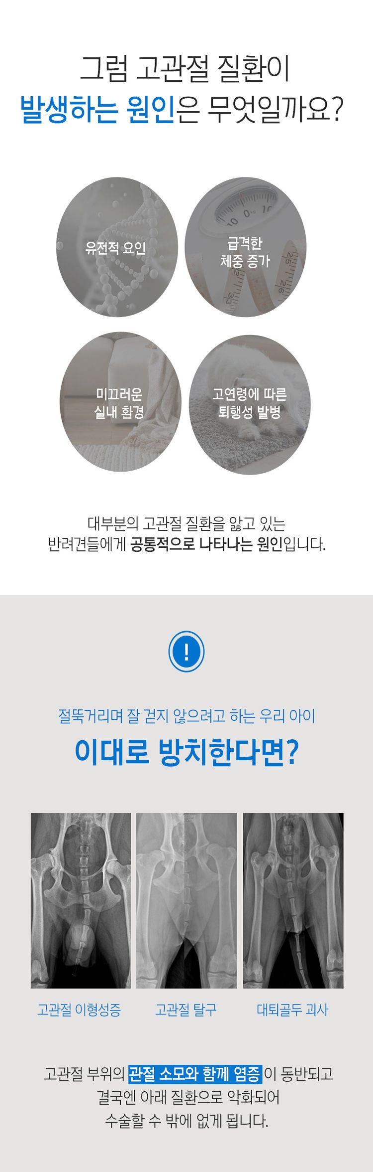 [무료배송] 꼬잇 독 고관절 브이레이 프로 케어 패키지(1구) 3번째