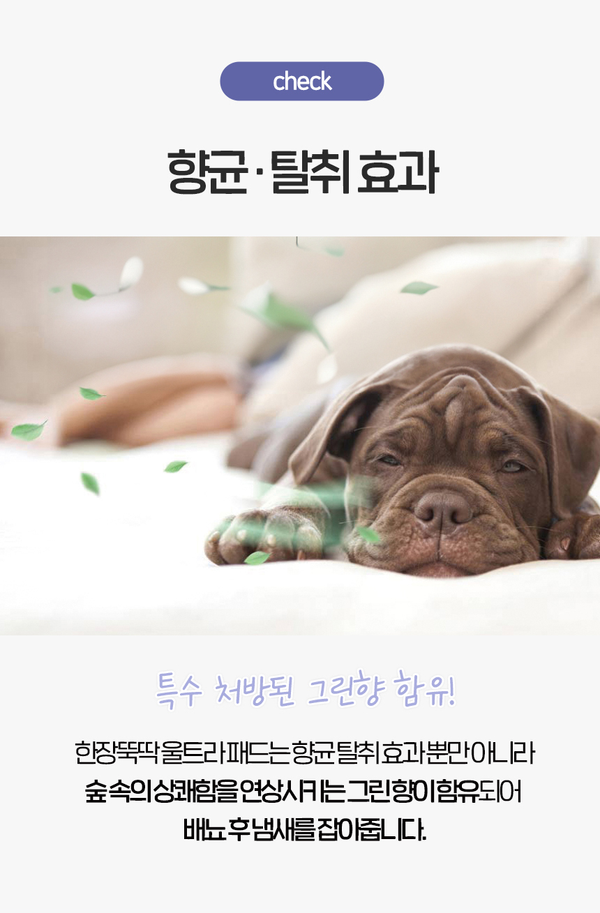 [NEW신상][무료배송] 펫토리아 한장뚝딱 강아지 울트라 소변 탈취 패드 초대형 (60cm x 77cm) 18번째