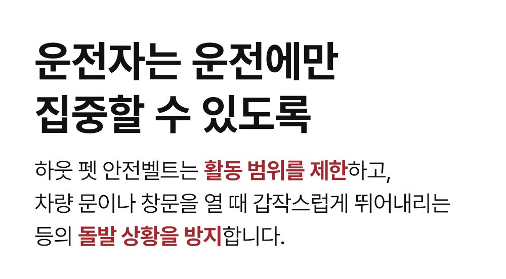 [무료배송] 하웃 펫 카시트 블랙 16번째