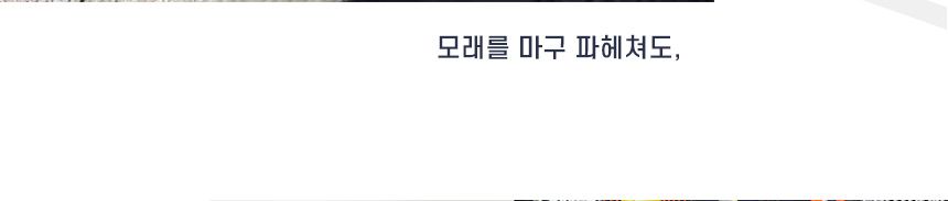 아메리칸솔루션 엣지시리즈 노메스 1박스 (6kg*3개입) 5번째