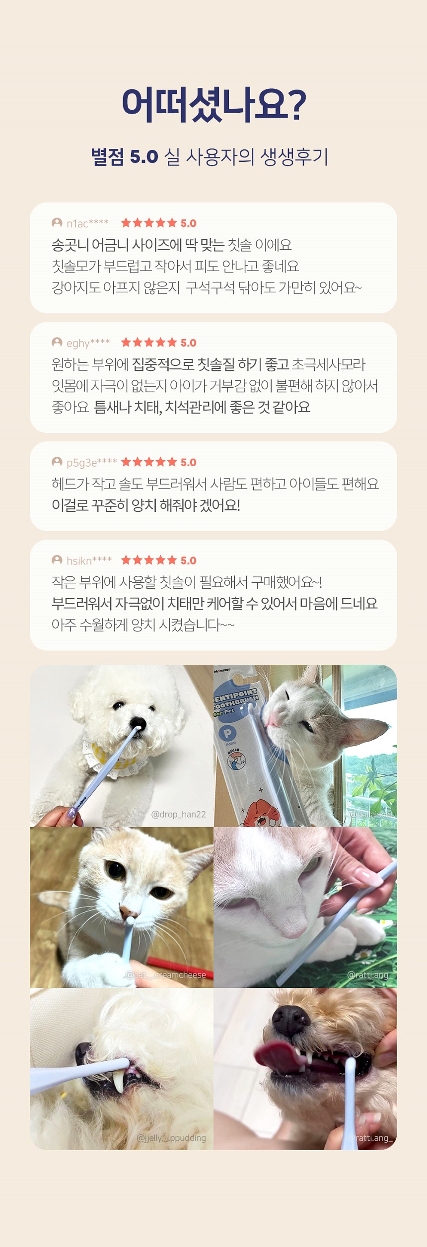 [심쿵펫페어][무료배송] 정글몬스터 덴티포인트 칫솔 3p 1번째