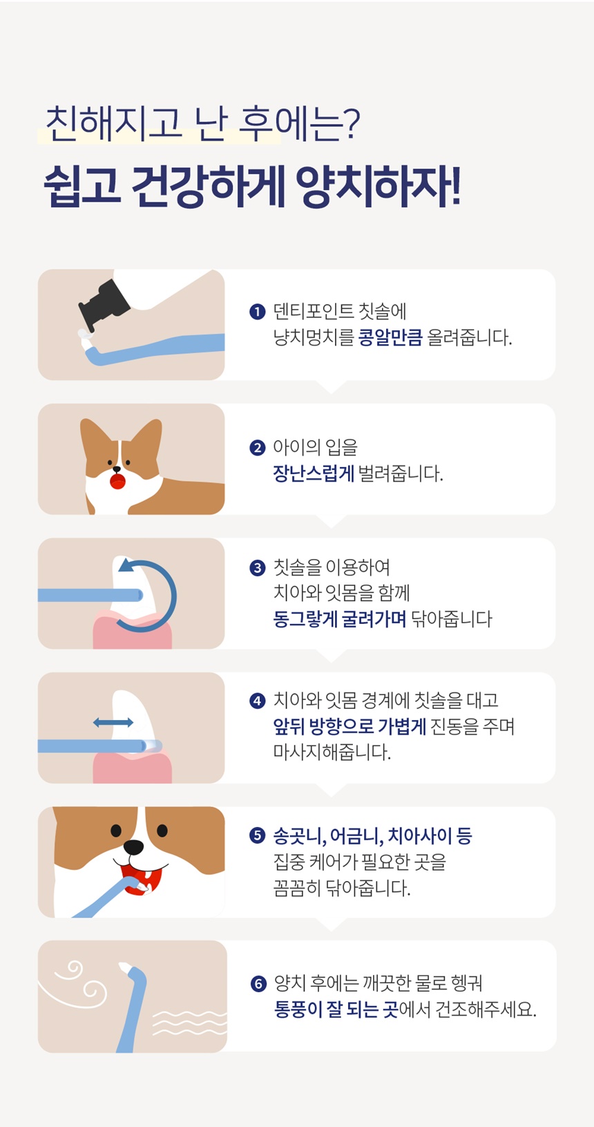 [심쿵펫페어][무료배송] 정글몬스터 덴티포인트 칫솔 3p 11번째