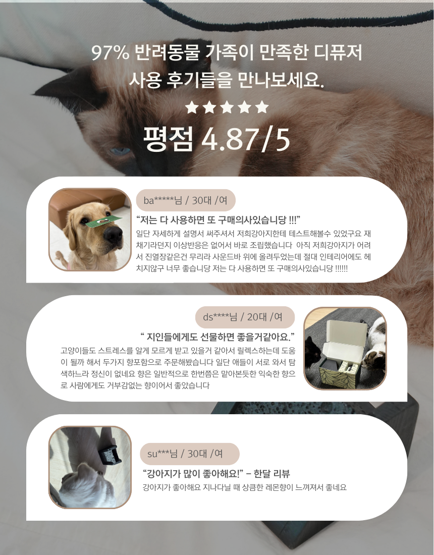 [NEW신상][무료배송] 디퓨리 댕냥이 안심 스톤디퓨저 레몬트리(레몬밤) 1번째