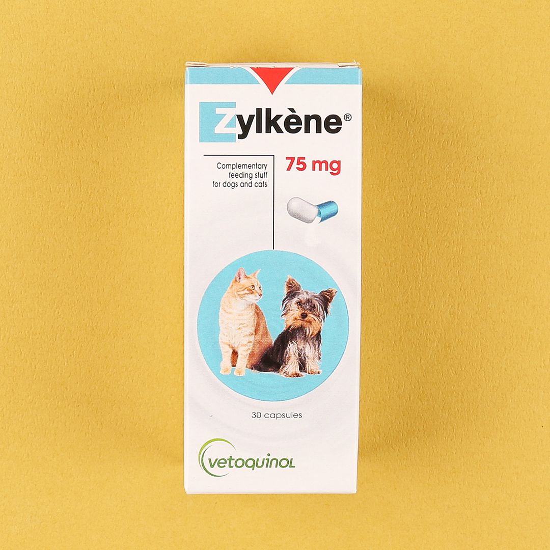 베토퀴놀 질켄 75mg 30캡슐 3번