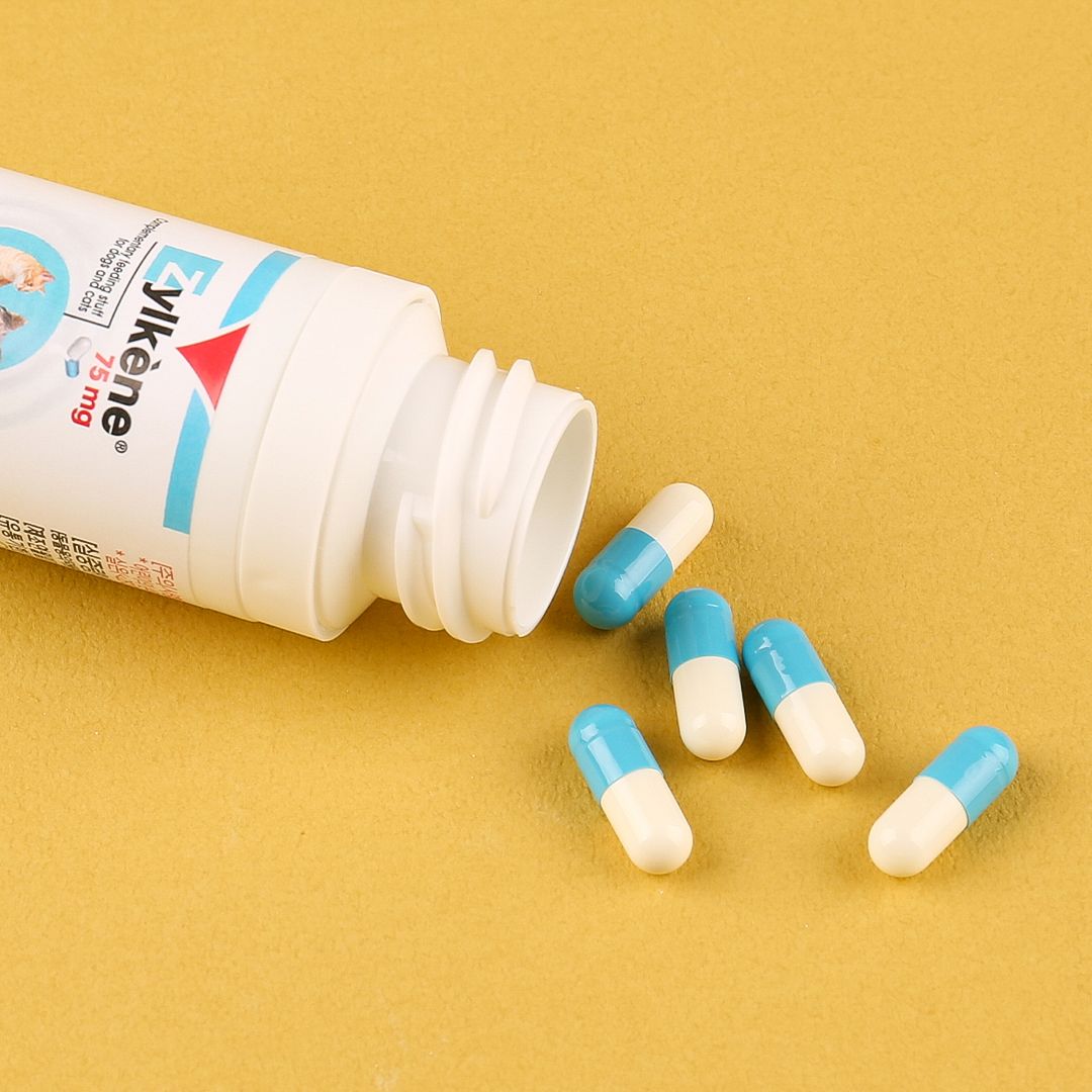 베토퀴놀 질켄 75mg 30캡슐 1번