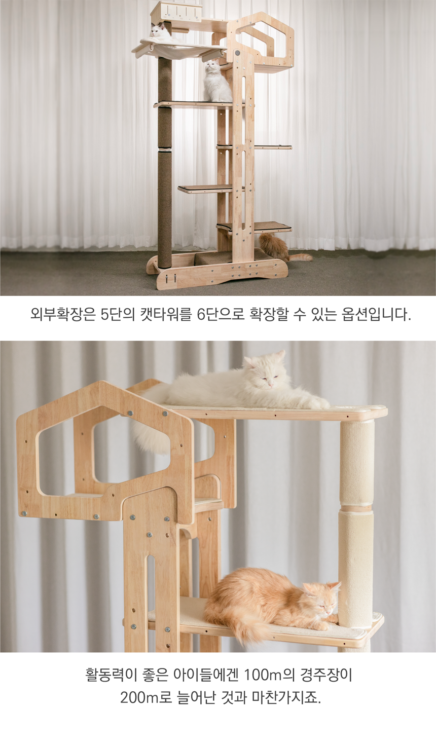 [NEW신상][무료배송] 그린웨일 B3 대형 5단 캣타워 22번째