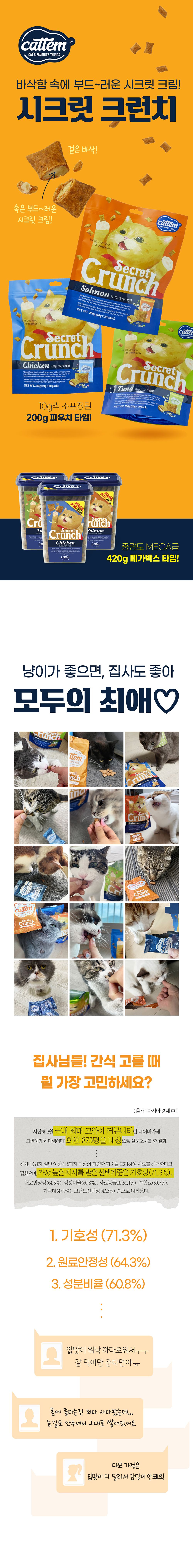 캣템 시크릿크런치 치킨 10g*20p 2번째