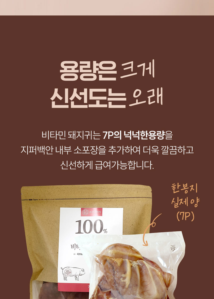 [NEW신상][무료배송] 조선강아지 비타민 돼지 통귀 7P 19번째