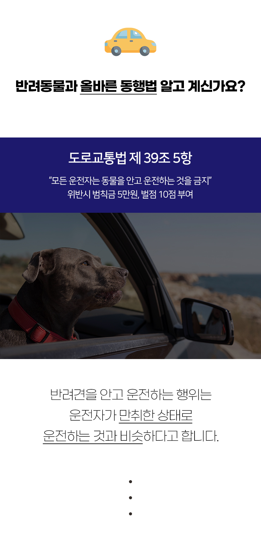 [NEW신상][무료배송] 개과천선 독 리시브 카시트 (카키/브라운/그레이) 2번째