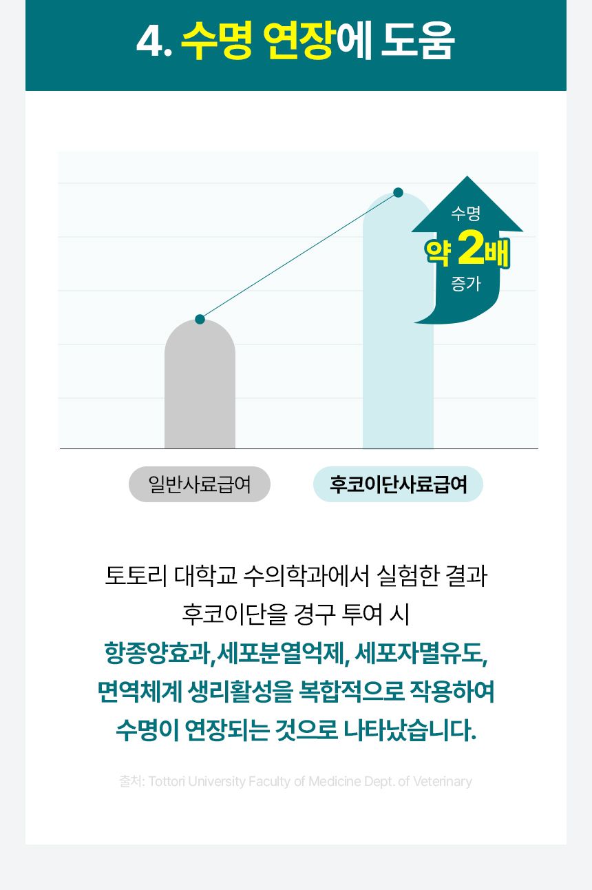 펫생각 독 데일리케얼 리얼 내추럴 후코이단 60g 26번째