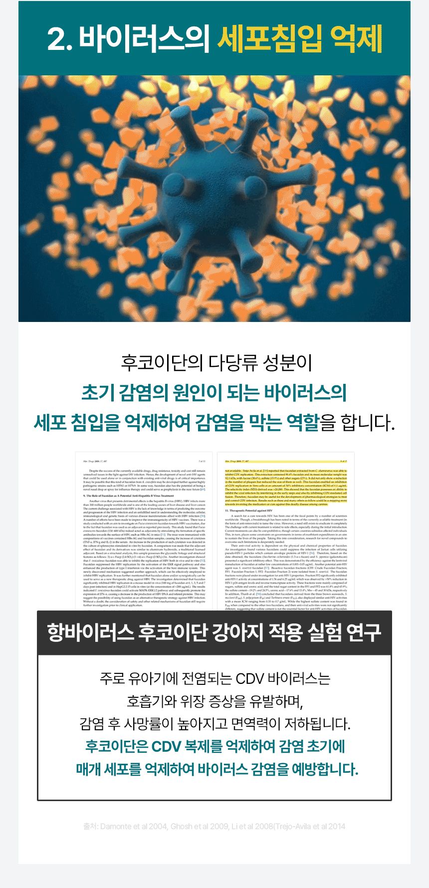 펫생각 독 데일리케얼 리얼 내추럴 후코이단 60g 24번째