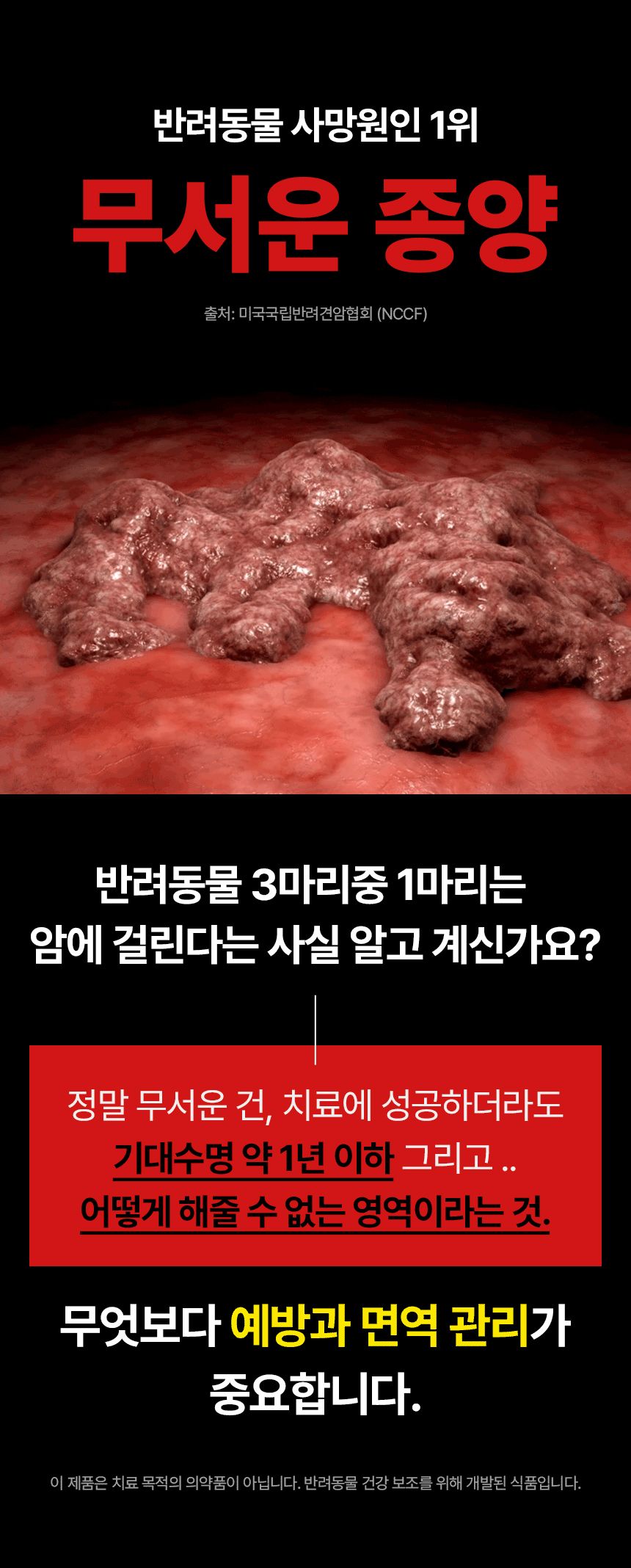 펫생각 독 데일리케얼 리얼 내추럴 후코이단 60g 7번째