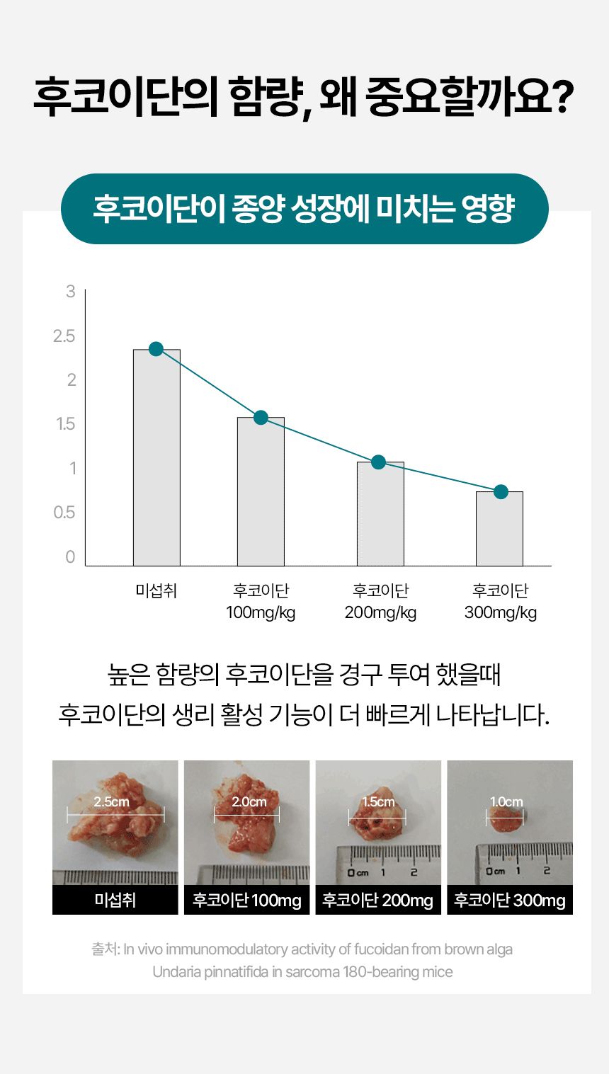 펫생각 독 데일리케얼 리얼 내추럴 후코이단 60g 29번째