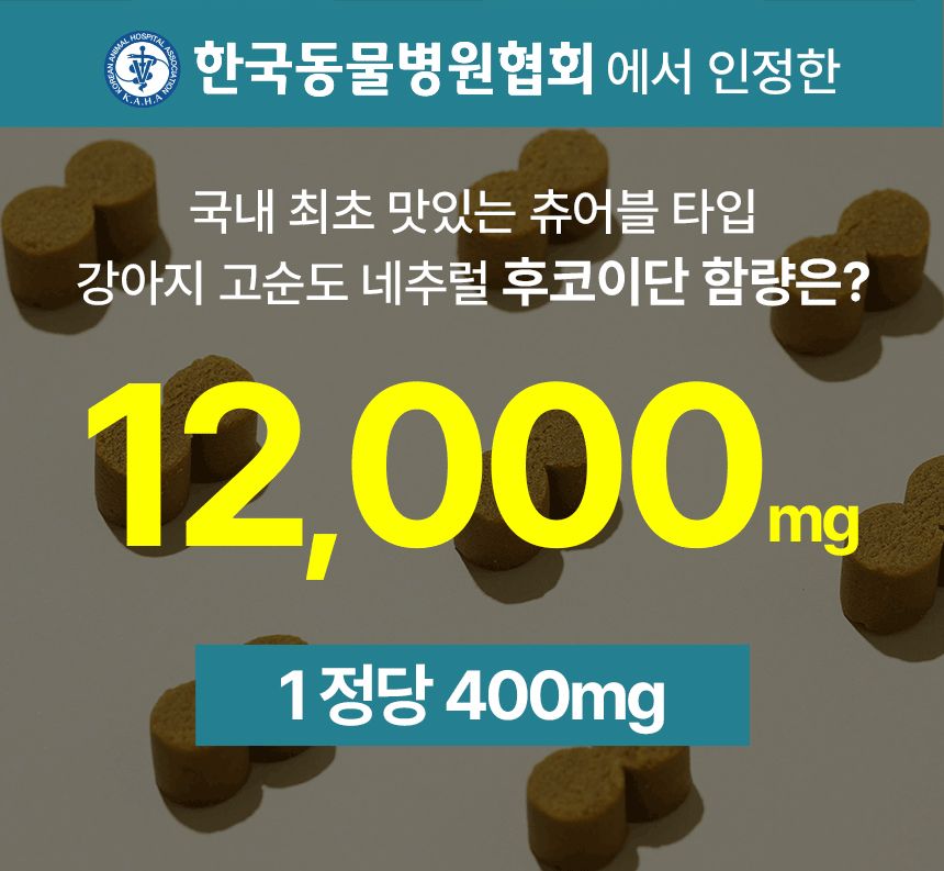 펫생각 독 데일리케얼 리얼 내추럴 후코이단 60g 2번째