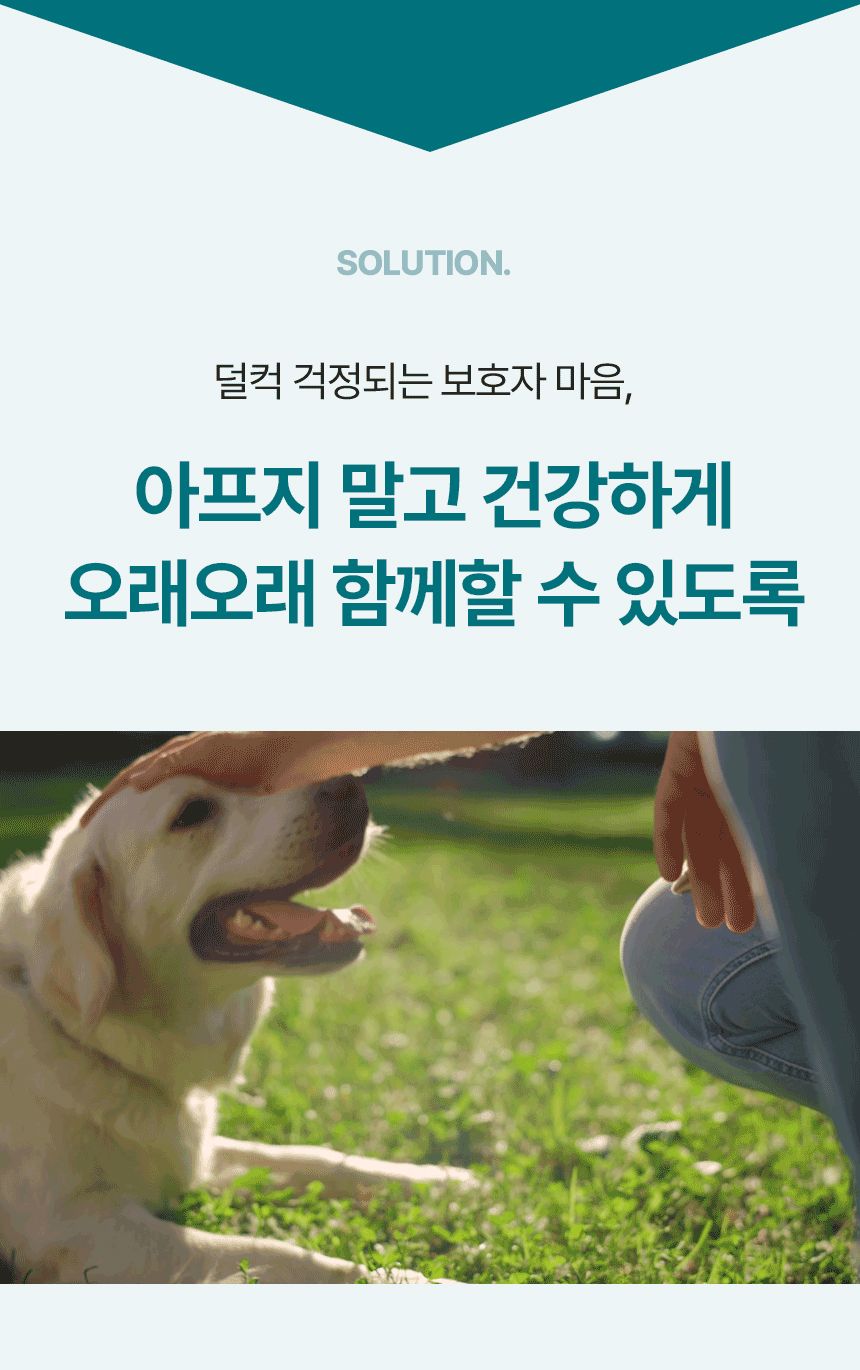 펫생각 독 데일리케얼 리얼 내추럴 후코이단 60g 4번째
