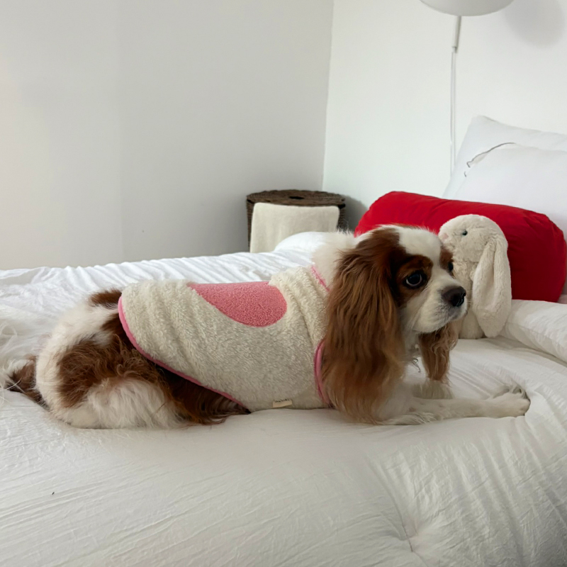 [NEW신상][무료배송] 해피댕댕 하트수면조끼 3종 (블랙,아이보리,핑크) S-XL 7번째