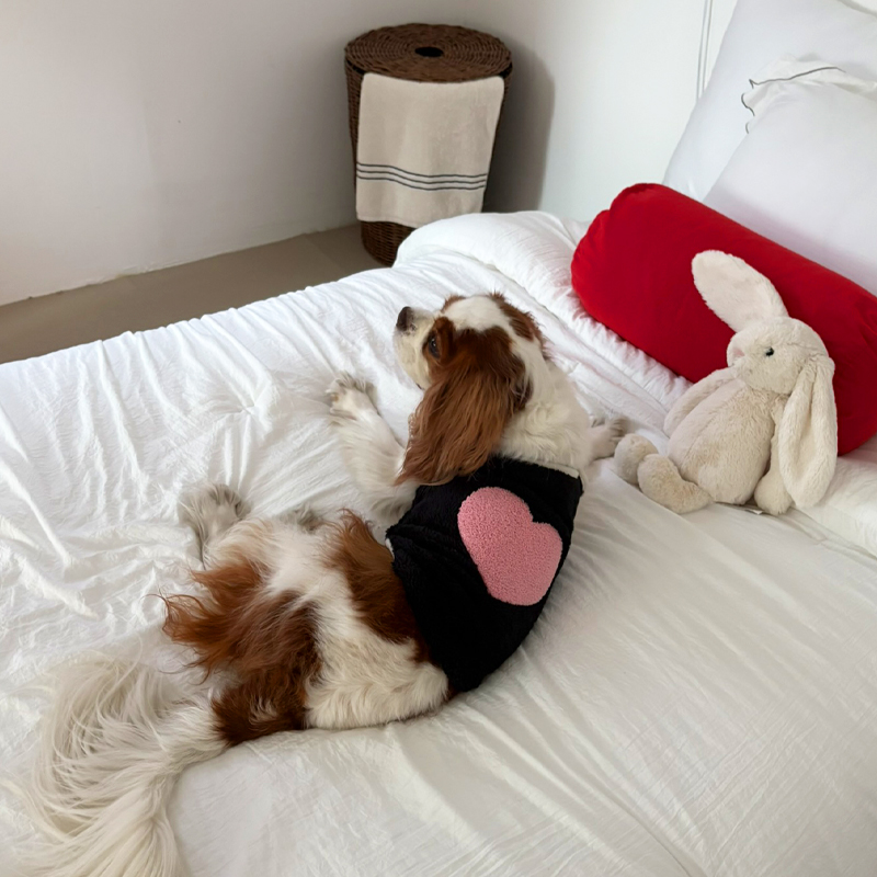 [NEW신상][무료배송] 해피댕댕 하트수면조끼 3종 (블랙,아이보리,핑크) S-XL 14번째