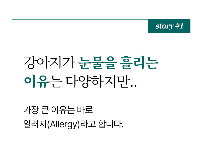 [무료배송] 본아페티 플러스 강아지 눈물 눈 건강 연어 수제사료 저알러지 프리미엄 사료 1KG 4번째