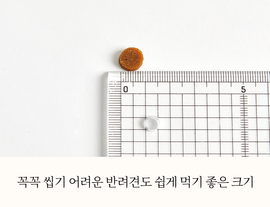 [무료배송] 본아페티 플러스 강아지 눈물 눈 건강 연어 수제사료 저알러지 프리미엄 사료 1KG 26번째